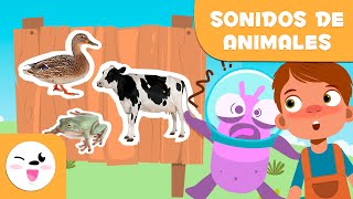 Los SONIDOS DE LOS ANIMALES para niños  Episodio 1 [upl. by Odlabu]