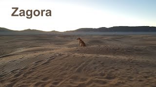 Zagora il deserto del Marocco [upl. by Biamonte]