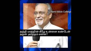 அத்தி மரத்தின் கீழே உன்னை கண்டேன் என்ன அர்த்தம் Bible study  Pr Augustin Balan [upl. by Elurd53]