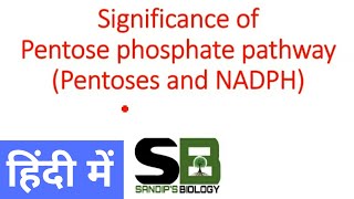 Significance of Pentose phosphat pathway  Hexose Monophosphate Shunt in Hindi [upl. by Ariamoy]