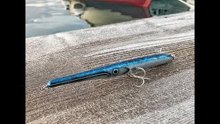 Montenegro Spinning  Spasm lure in action  Bluefish got away [upl. by Diandra]