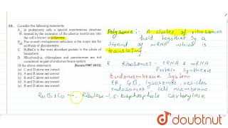 Consider the following statements A In prokaryotic cells a special membranous structure formed [upl. by Kaczer388]