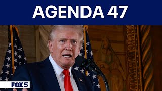 Trumps quotAgenda 47quot calls for sweeping changes to federal workforce [upl. by Fisk]