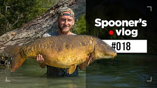 GIGANTICA Carp Fishing Social with Tom Dove and Friends  Spooners Vlog [upl. by Ateekram176]