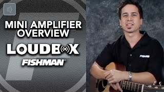 Fishman Loudbox Mini Acoustic Amplifier Overview [upl. by Leboff877]