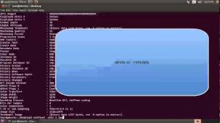 Tutorial exiftool Handle and remove metadata [upl. by Nnorahs351]