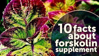 10 Facts About Forskolin Supplement [upl. by Namya]