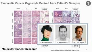 An Automated Cancer Organoid Culture Platform to Accelerate Research and Drug Screening [upl. by Adnarrim158]