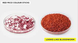 Super colourenhancing food for fish  Tropical Red Mico Colour Sticks [upl. by Haden]