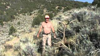 Unit 2 Colorado elk hunter Lonny VannataGod Bless America 345 bull [upl. by Kris790]