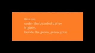 Kiss me  The Cranberries lyrics [upl. by Drahsar]