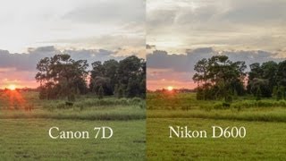 Nikon D600 Review Part 4  Dynamic Range TestingWOW [upl. by Elletnohs]