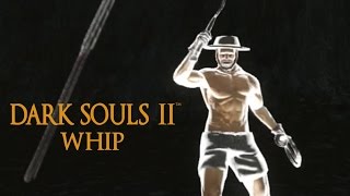 Dark Souls 2 Whip Tutorial dual wielding w power stance [upl. by Aicatsana127]