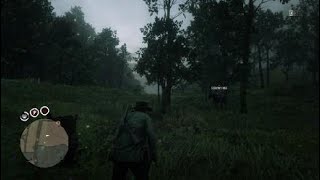 RDR2 Burdock Root Roanoke Ridge Location [upl. by Glassco747]