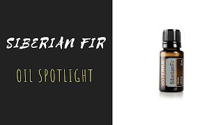 Siberian Fir  doTERRA Essential Oil Spotlight [upl. by Barbey413]