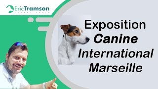 Marseille 2018 Exposition canine internationale de ChiensChiotsCacibCACS [upl. by Zelig]