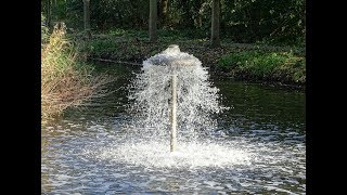 Mooie herfstdag in het Vliegenbos en Beeldenbos  Amsterdam Noord  28 oktober 2018 [upl. by Esyak364]