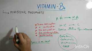 biochem of vitamin B6 [upl. by Kopaz]