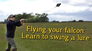 Falconry Basics  Introduction To Lure Flying Your Falcon [upl. by Yesnikcm658]