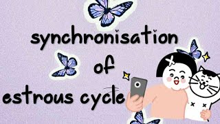 Estrous cycle 𝖘𝖙𝖚𝖉𝖞 𝖜𝖎𝖙𝖍 𝖒𝖊 synchronisation of estrous cycle in cattle [upl. by Novaj40]