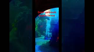 Great yarmouth Sealife Centre [upl. by Noimad171]