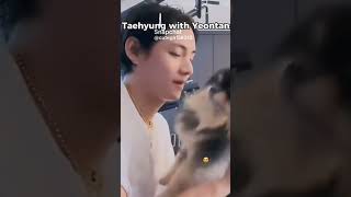 Taehyung with Yeontan vs Jungkook with Bam 🤣🤣🤣🤣🤣🤣🤣 [upl. by Strong]