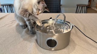 How to set up this cat drinking fountain Demo and review of the FOFNON Cat Water Fountain [upl. by Ng]