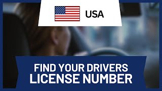 Where to Find Drivers License Number [upl. by Einahpet]