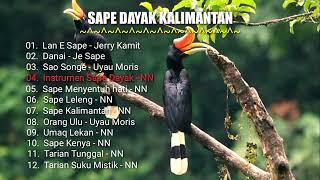 Sape Dayak Kalimantan [upl. by Acirred]