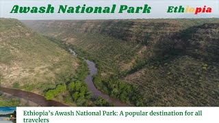 Ethiopia’s Awash National Park A popular destination for all travelers  Amazing Ethiopia [upl. by Aik]