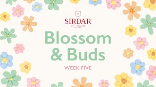 Sirdar Blossom amp Buds Crochet Along Week 5  In Full Bloom [upl. by Nebur]