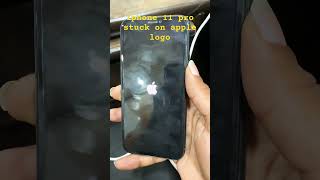 Iphone 11 pro stuck on apple logo shortsfeed 9910313258 [upl. by Keheley]