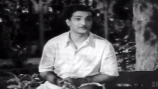 Missamma Movie  Avunante Kaadanile Video Song  NTR ANR SVR Savitri Jamuna [upl. by Siahc]