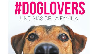 Musica para publicidad y Jingles doglovers supersonicamusica [upl. by Llorre]