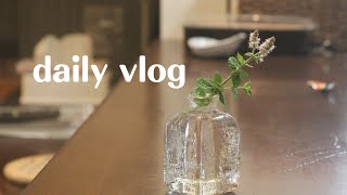 【暮らしのVlog】いちじくのコンポート 愛猫の流涙症 愛猫に癒される時間 お野菜の下準備 [upl. by Oleusnoc]