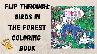 Birds in the Forest Coloring Book Flip Through  Illustrated by Denyse Klette [upl. by Ollecram]