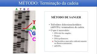 Sequenciamento de DNA Primeira Geração [upl. by Kamilah855]