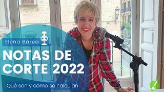 😊NOTAS de CORTE 2022  QUÉ son y CÓMO se calculan [upl. by Tripp137]