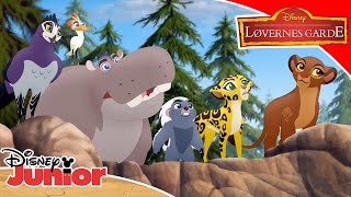 Livets træ  Løvernes garde  Disney Junior Danmark [upl. by Haimarej]