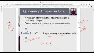 chapter24 Amines and Heterocycles L1 [upl. by Onnem211]