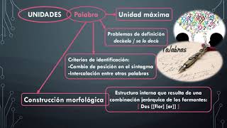 MorfologíaNociones generales y unidades [upl. by Douglass]