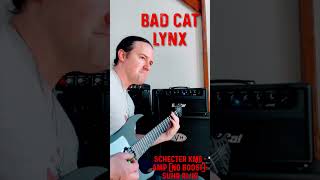 CHUG CHECK High Gain Shootout VH2 SLO Lynx 5150 III [upl. by Arah]