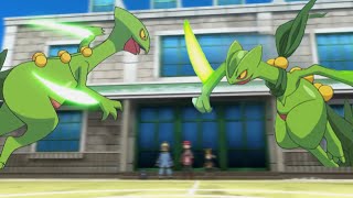 Ashs Sceptile Vs Sawyers Sceptile  Comparison video [upl. by Christy713]