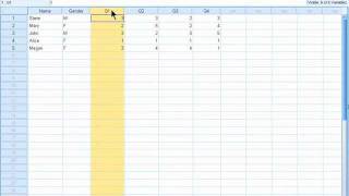 SPSS 19 Training  Assigning Variable Labels [upl. by Ing794]