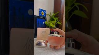 Cerruti 1881 perfume review 1881 cerruti fragnace unboxing [upl. by Haile295]