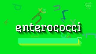 ENTEROCOCCI  HOW TO PRONOUNCE IT enterococci [upl. by Sebastien]