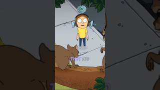 Squirrels run the World funny rickandmorty shorts [upl. by Pantin906]