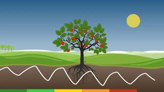 Phytech explained Learn how Phytech works and how it changes growers lives [upl. by Grete]