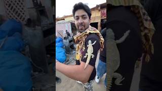 Desi swag foryou respect reels youtubeshorts travel viralvideo [upl. by Morice]