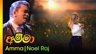 අම්මා  නොයෙල් රාජ්  Amma  Noyel raaj [upl. by Ilario894]